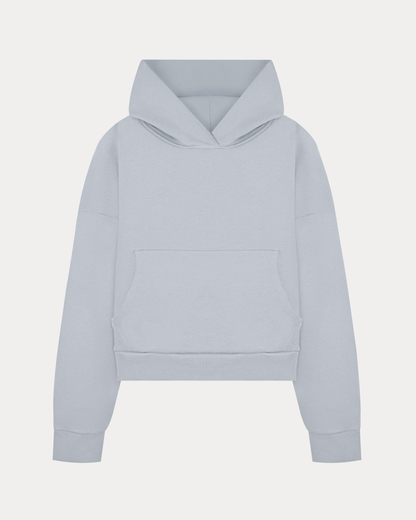 Parisien Light Gray Hoodie