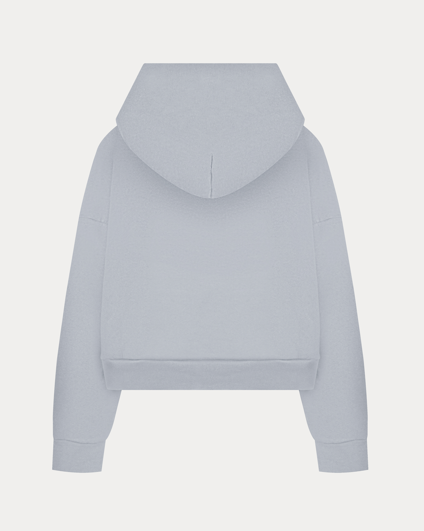 Parisien Light Gray Hoodie